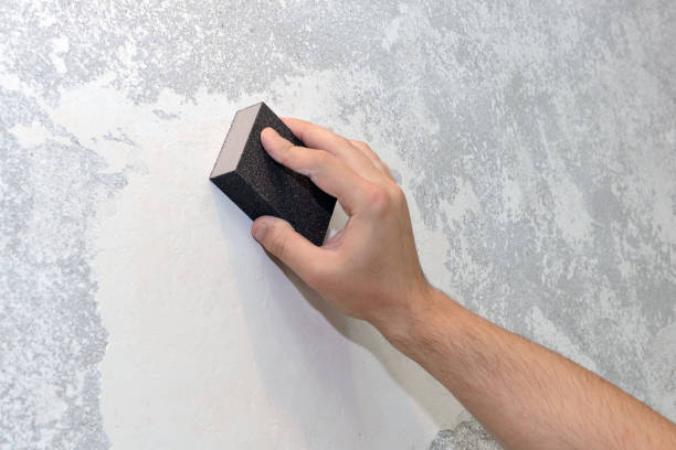 Best Airborne Mold Testing  in Walton Park, NY