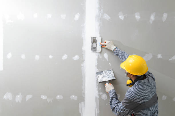 Best Attic Mold Removal  in Walton Park, NY