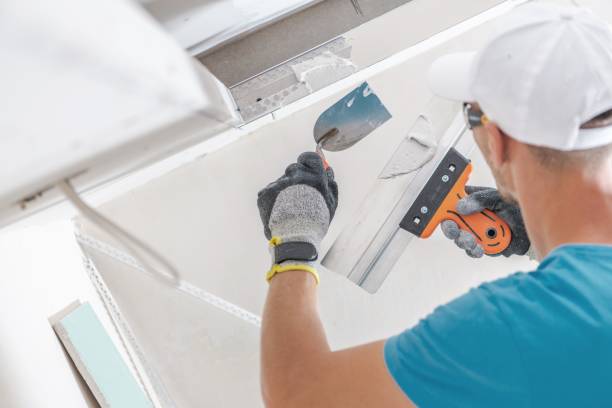 Best Mold Odor Removal Services  in Walton Park, NY